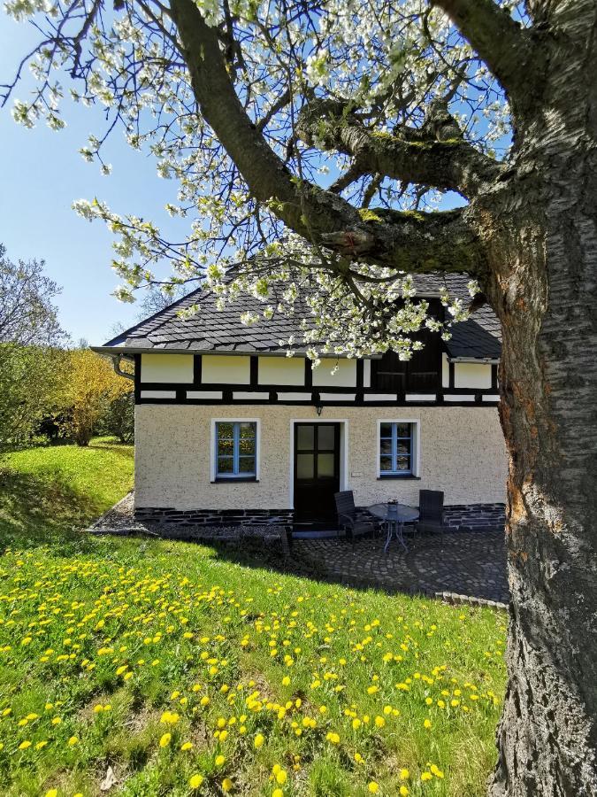 Ferienwohnung "Am Saalehaken" Gossitz Exterior photo